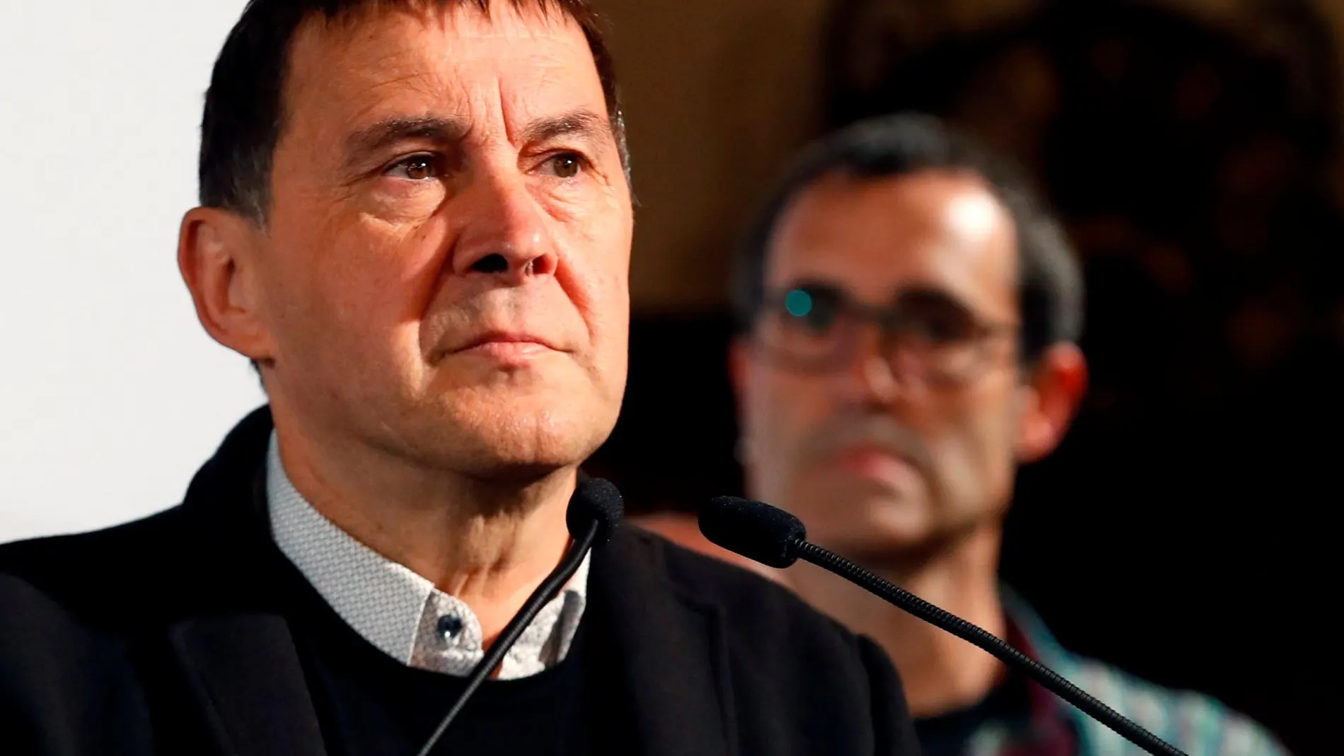 El coordinador general de la coalición EH Bildu, Arnaldo Otegui/Efe