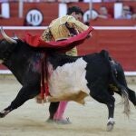El novillero local Sergio Felipe remata una de sus faenas por bernadinas