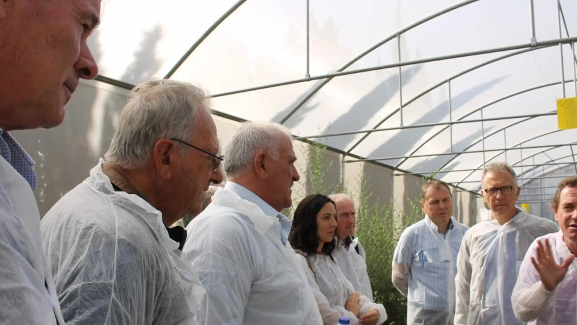 Llanes, tercero por la derecha, escucha una explicación sobre la Xylella Fastidiosa junto a representantes agrarios