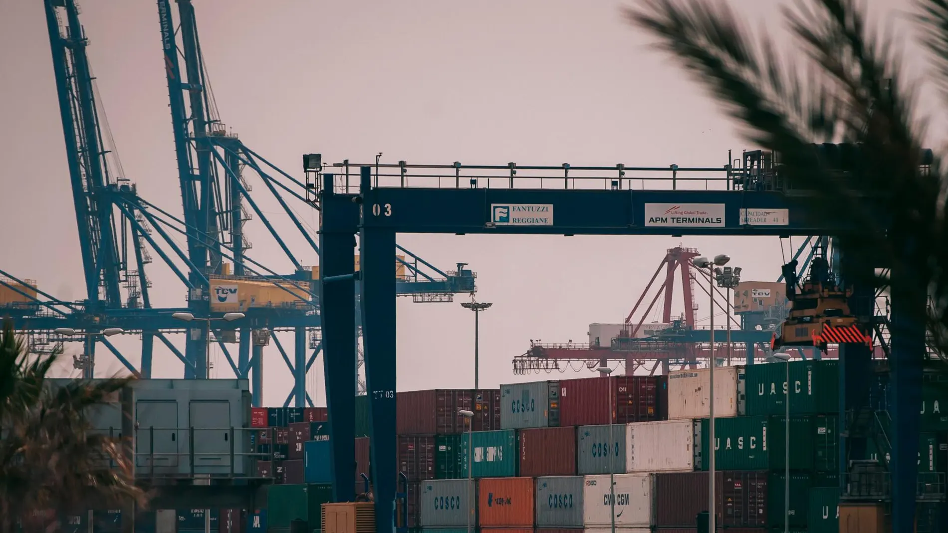 El Puerto de Valencia se encuentra a la cabeza en España respecto a contenedores y vehículos