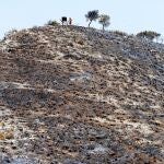 El fuego afectó al Parque Natural del Turia y a tres municipios