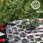 Iniciativa Reforestum