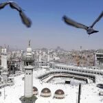 ¿La mezquita o la modernidad?
