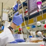 El catedrático de Química Orgánica de la Universidad de La Rioja (UR), Jesús Manuel Peregrina