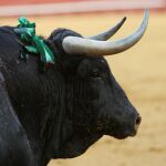 Un astado de la ganadería de Fuente Ymbro, en imagen de archivo