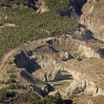 Reforestación realizada junto al desierto almeriense de Tabernas
