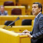 El presidente del PP de Ávila y secretario general del Grupo Popular en el Senado, Antolín Sanz