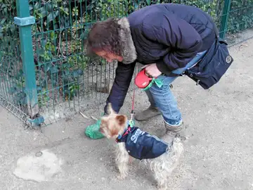 Guerra municipal contra las cacas de perro Guerra municipal contra las cacas de perro