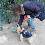 Guerra municipal contra las cacas de perro