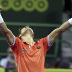 David Ferrer.