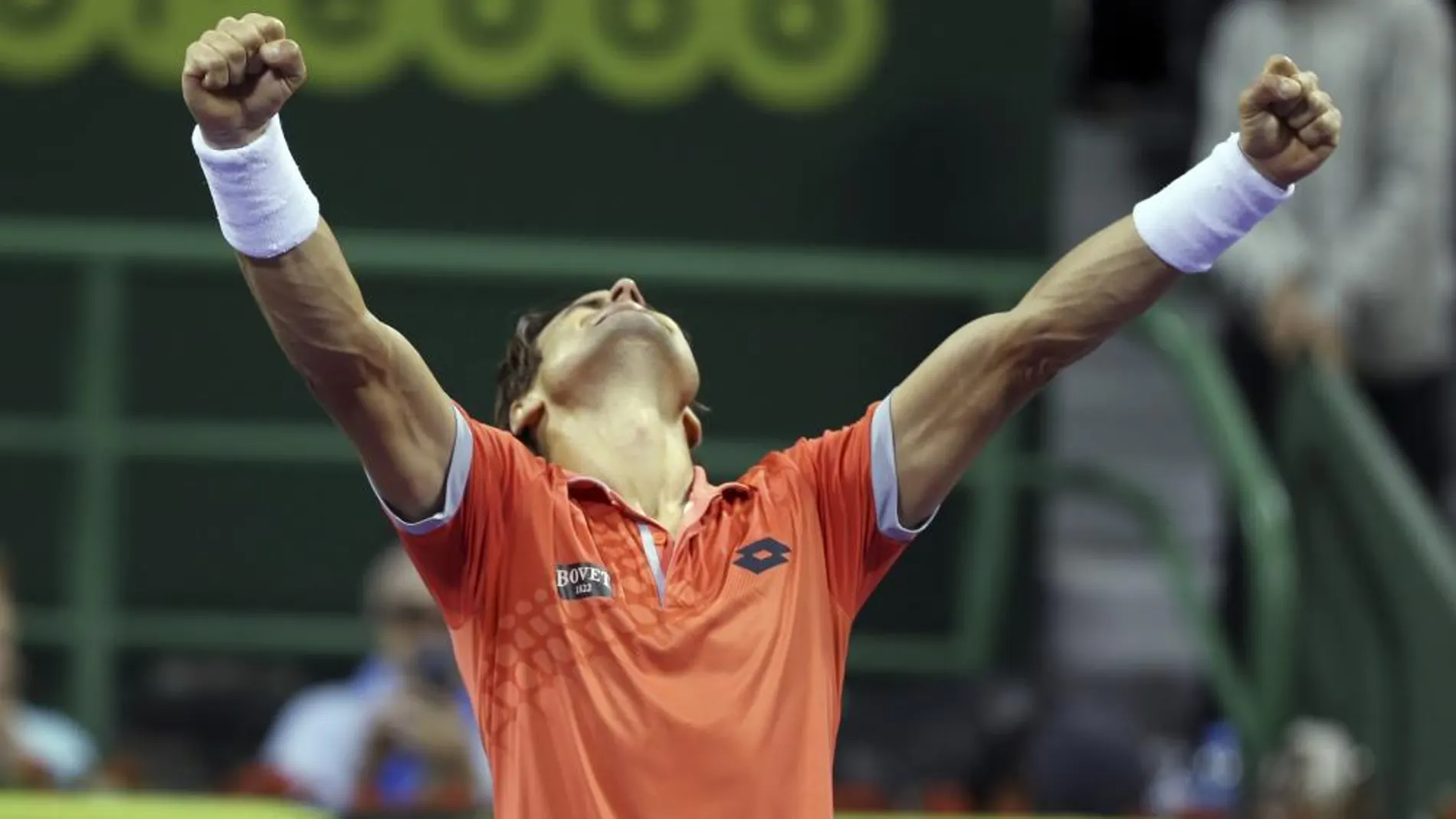 David Ferrer.