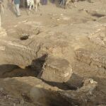 Imagen de la excavaciones de Oxirrinco