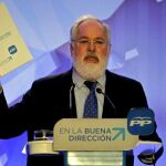 El cabeza del lista por el PP a las elecciones europeas del 25 de mayo, Miguel Arias Cañete