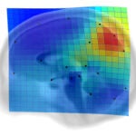 El rincón del cerebro clave en la evolución de nuestra especie