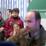 Las oficinas del Servicio Andaluz de Empleo, en una imagen de archivo