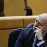 El ministro de Educación, José Ignacio Wert, durante la sesión de control al Gobierno celebrada esta tarde en la Cámara Alta.