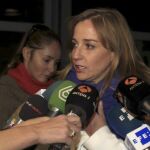 La diputada autonómica de IU Tania Sánchez