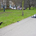 Un hombre observa a tres musulmanes rezando en el icónico Hyde Park, en Londres