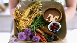 La planta medicinal del año que nadie se espera y crece en todas partes este marzo La planta medicinal del año que nadie se espera y crece en todas partes este marzo