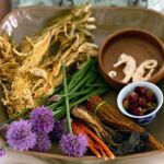 Las plantas medicinales, un remedio alternativo
