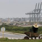 Agricultores cubanos cerca del aérea del puerto nuevo en construcción en Mariel, Cuba
