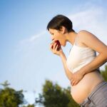 &iquest;C&oacute;mo debe ser la dieta durante el embarazo?