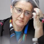 Goicoechea niega injerencias y tratos de favor ilícitos