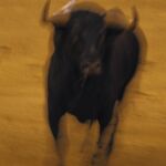 Zalduendo, ganadería para la Goyesca de Ronda el 6 de septiembre