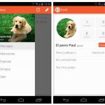 Wouwi , la red social para tus mascotas