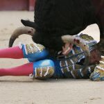 Escribano, con la cornada en el gemelo derecho, trata de zafarse entre los pitones del astado de El Torero