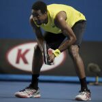 Gael Monfils