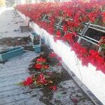 48 jardineras del Puente de las Flores fueron arrancadas
