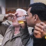 Los fieles hindúes que consumen orina de vaca ha aumentado en los últimos tiempos