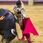 Morante de la Puebla torea al natural al primer toro de la tarde, sobrero de Victoriano del Río