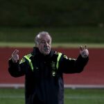 Vicente del Bosque.