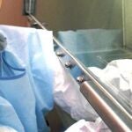 En 2010, en España se utilizaron 1.334.986 animales en experimentos científicos