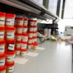 La Incubadora de Empresas Biotecnológicas suma cuatro nueva compañías y eleva a 12 las entidades, que dan empleo a 40 personas