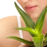 Los cinco motivos por los que debes usar aloe vera en Otoño