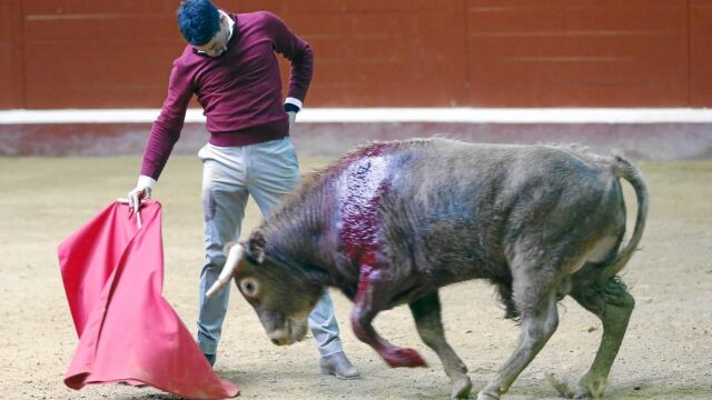 Manzanares, en un derechazo a un excelente novillo de Garcigrande lidiado ayer en la finca salmantina