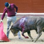Manzanares, en un derechazo a un excelente novillo de Garcigrande lidiado ayer en la finca salmantina