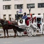 La mayoría del recorrido que hacen los caballos es por Central Park.