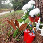 Pista forestal en la que fue encontrada la pequeña, de 12 años