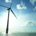 Eólica offshore: con un 15% menos de pérdidas
