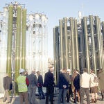 Zona de fotorreactores de la planta de la empresa alicantina Bio Fuel System (BFS) dedicada al cultivo de microalgas para la obtención de biomasa de la que extraen aditivos