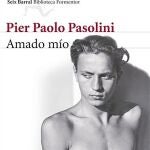 Pasolini, más allá del deseo