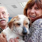 El Refugio buscó un nuevo hogar a Curro, de doce años, después de que su propietaria fuera trasladada a una residencia. Mari Carmen y Pedro, en la imagen, decidieron adoptarle