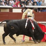 Francisco José Espada se enrosca al natural al cuarto novillo de El Montecillo, lidiado ayer, en Las Ventas