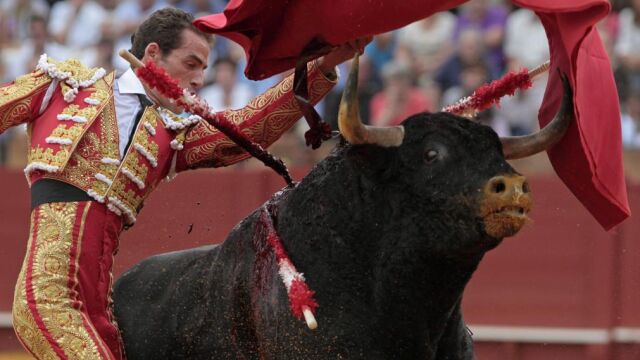 Pase de pecho de Pepe Moral, ayer, en La Maestranza