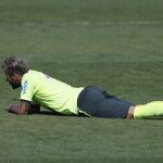 Neymar / Goleador y estrella brasileña
