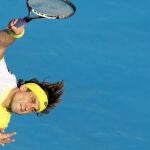 Ferrer no jugará contra Canadá la Copa Davis